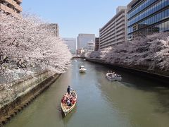 ☆彡お江戸深川発　東京桜巡り　