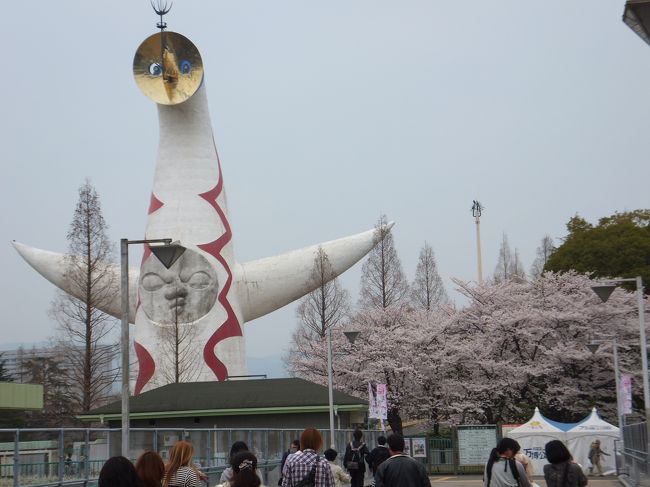 久しぶりの投稿です。<br />今回は大阪で開催された万国博覧会跡地の公園です。<br />万国博覧会は、１９７０年アジアで初めて開催され、「人類の進歩と調和」をテーマに３月１５日〜９月１３日までの１８３日間開催され、入場者数は６２４０万人だったそうです。<br /><br />公園内は桜が満開に咲いていてお花見にやってきました。<br />実はここのに来る前に大阪城に行ってきました。<br />大阪城の駐車場が満車で入れなく仕方なく万博公園にやってきたわけなんです。＾＾<br />流石にここの駐車場は大阪城公園より広くまだまだスペースがありました。<br />しかし、車の台数の割には沢山の人が桜のお花見であふれ返っていました。＾＾<br />昼ご飯を家で用意をして桜の木の下でと思ったのですがなかなか良い場所が確保できず苦労しました＾＾<br /><br />昼ごはんを済ませ公園内を散策することにしました。<br />途中、大陶器市が行わておりぶらっと寄ってみることにしました。<br />瀬戸物、お箸、お茶碗、大黒様までもが売られていました。１５日までの開催予定だそうです。<br /><br />引き続き散策をしていると今度はチューリップ畑を発見＾＾<br />品種によっては満開の種類もありましたが、全体的には７〜８分咲ってところかな<br /><br />そんなこんなで、とにかく公園内は広く歩き疲れモード全開！<br />携帯の万歩計を確認すると約８０００歩歩いたようです＠＠<br />この日の晩酌は、美味しくビールをいただき最高でした！＾＾<br /><br /><br /><br />