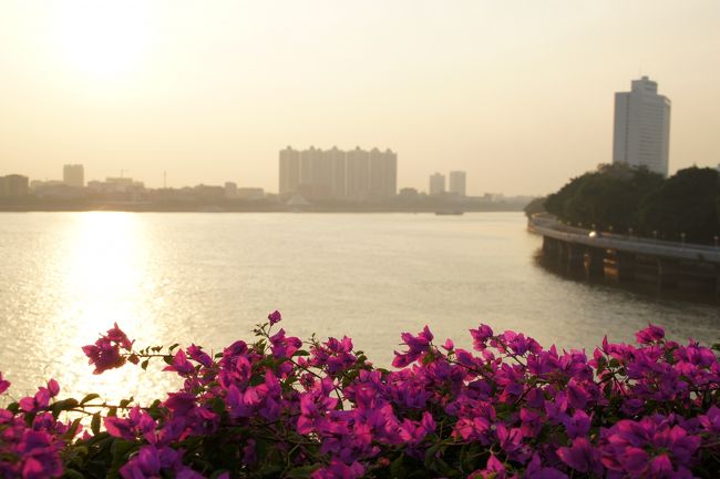 朝7:00前に広州東站に到着します。予約していたユースに…チェックインは昼からですね。ロビーでのんびりして、お昼過ぎにチェックイン。昼寝してたら、もう夕暮れ。沙面に散歩に行きましょ。