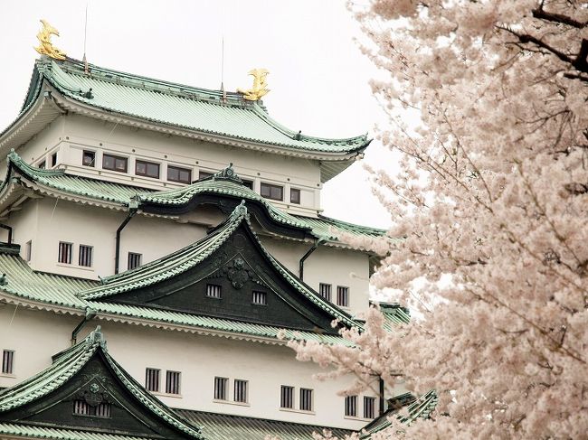 名城公園と名古屋城　満開の桜とチューリップ　名古屋市市政資料館と珈琲ぜんざい　たっぷり春を満喫しましょ♪