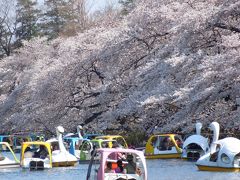 井の頭公園