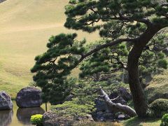 【熊本観光】 東海道五十三次の景勝を模した大名庭園　「水前寺成趣園」