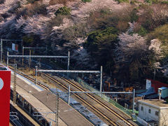 ２０１２　江戸の昔からのお花見の名所　北区　飛鳥山ー下　色々な乗り物が見えます