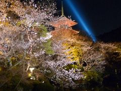 桜　京都・武蔵野・奈良（吉野山）・東京　４都物語　①