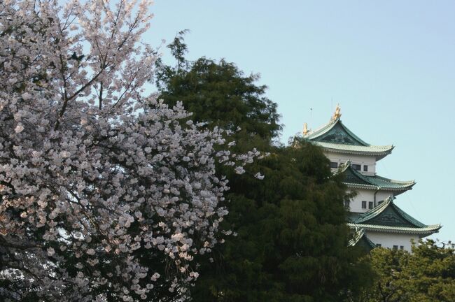 東海地方のお城と桜の紹介です。東海地方は、日本の地域区分の一つです。本州中央部の内、太平洋側の地方です。一般的には愛知県、岐阜県、三重県と静岡県の4県を指します。桜の時期に訪れた御城とお城跡の総集編です。これからもっと見学したい旅行テーマの一つです。概ね、見学した新しい順番での紹介です。(ウィキペディア)<br /><br /><br />)