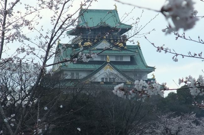日吉大社でお花見の予定でしたが、まさかの桜咲いておらず。<br /><br />参考旅行記<br />http://4travel.jp/traveler/ishisai/album/10660422/<br /><br />お花見のメッカ、大阪城へ移動しました。<br /><br /><br />大阪城ホールでは、HYのコンサートしてました。<br />ダフ屋のおじさん達は私達は興味が無いだろうと見込んで、声も掛けてくれず(-_-)<br />HY好きなんだけど、若さについていけてない事を実感しました。<br /><br />大阪城公園では、<br />桜がものすごく見頃で、きれかったです。<br />わざわざやって来て良かった(^^)<br />そして、花見宴会の真っ最中。<br />バーべーキューされる人が多かったです。<br />いい匂いに小腹かすきました。<br /><br /><br />鶴橋で焼き肉にしようと、環状線に乗って移動。<br />JR鶴橋駅の改札口でコリアンタウンに引き寄せられちゃいました。<br />鶴橋をウロウロしようと思ってやってきましたが、コリアンタウン目指してた。なんでだろう。。。<br /><br />生野コリアタウン<br />http://www.ikuno-koreatown.com/<br />日本一大きなコリアタウンだったんですね。<br />予習してから行けばもっと楽しかったでしょうから、悔やまれます。<br /><br />美味しい食事にありつけて、今日は食べ物系には恵まれた1日でした。