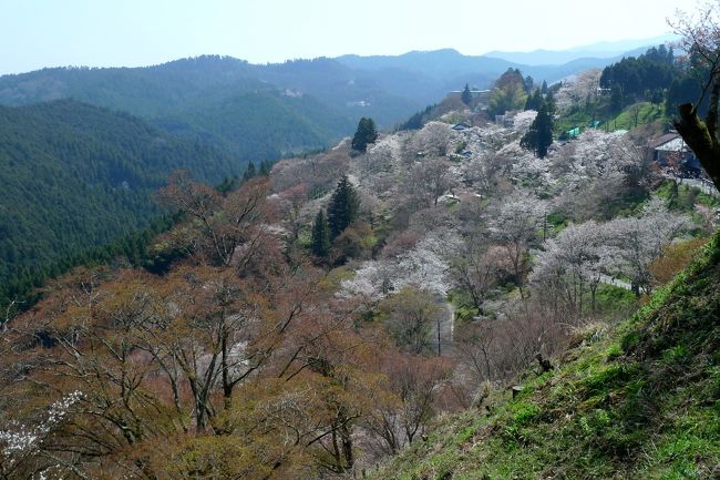 桜を愛でる4か所めぐり。京都で1泊した翌日は、奈良・吉野山の「千本桜」を観に行った。<br />予想していたこととは言え、広大な面積であり、限られた時間内で見て回るにはいくつかの地点をカットすることとなり、下千本、中千本を中心に歩き、上千本、奥千本は次の機会とした。<br />そして、最後に東京の外堀のお堀端の桜、2012年の様子を掲載してみた。
