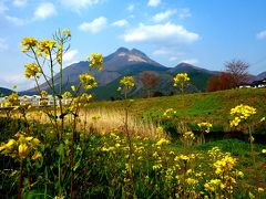 早春賦 まほろば紀行①★由布院～阿蘇～黒川温泉～高千穂★