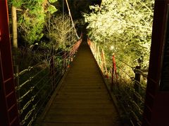 ローカル地：蒲原御殿山 夜桜に出向く