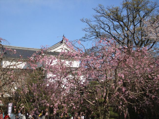 桜の季節に恒例の静岡まつり。