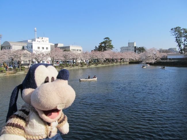 思えば１年前の春の本合宿。<br />小田原での花見だったの。<br />東日本大震災直後で全てが自粛ムード<br />しかも冷たい雨で当時の小田原は閑古鳥が泣いていたの・・・。<br />あれから１年、小田原の今を取材したの！！