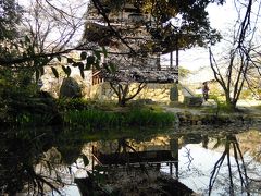 京都桜旅と東海道昼間特急バス