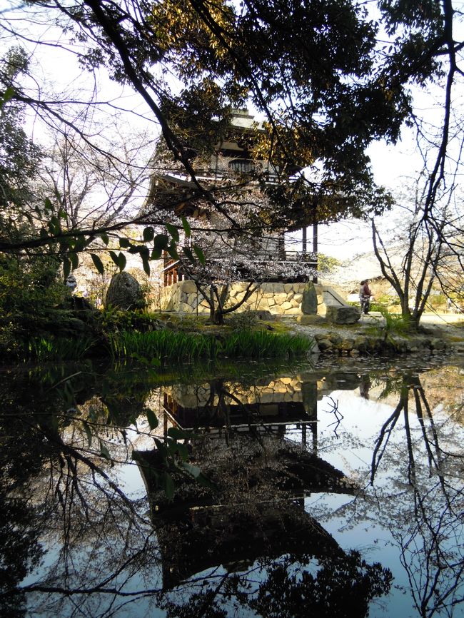 京都桜旅行<br />昨年の今頃も、青春18切符を用意して、大阪・京都に行くことにしていた。<br />同時に、7月にはカムチャッカに行こうと、現地ツアー会社と交渉してほぼ折り合いが付き、現地ツアー会社から入手した招待状をロシア大使館にメールし、ビザ発行に有効であること等を確認し、最後に、航空券だけを先行予約しようとした。が、カムチャッカ直行便をチャーターしているロシア・ビューロー社は、ツアーであれば先行予約出来るが、航空券の予約だけではもっと先になる、と返信してきた。要するに儲けの少ない仕事はしないと言うことだ。そこで、ネットを調べ、米国ウラジオストック航空支店で、同じチャーター便を、つまり、7月のカムチャッカ直行チケットを販売していることを知った。メールで問合せしたところ、「販売出来る」との回答を得た。よしこれで全てＯＫと、カムチャッカ現地ツアー会社に支払い条件を確認したら、全て前金との回答であった。が、参加者が8人程度で総額160万以上にもなっており、とても全額前金では、僕が参加者全員への責任を持てないとの判断で、ツアーを中止することにした。<br />仕方なく、米国ウラジオストック航空に、ツアーの事情説明しようとパソコンに向かっている最中に、あの地震が来たのだ。恐ろしい揺れで、その揺れのゆるんだ一瞬に、パソコンを持って庭に飛び出し、庭で英文を打ち、メールを発信した。メールには今、地震の最中であるとも付け加えた。庭の周囲の電柱や木々が恐ろしく揺れ動く中でいったいどうなるのかと地面に座りこんでいた。思えば、その日は、今年とは全く違って暖かく、庭に居ても地震の恐ろしささえ無ければ心地よい日であったのだ。<br />その後、米国からメールの返信が来た。米国人て友人にふさわしい連中だ。<br />XXXX-san<br />We are following news about the earthquake very closely and our heart goes out to you; we hope that you and your family are safe. We wish you and all the Japanese people well in dealing with this tragic incident.<br />Respectfully,<br />Mxxx<br /><br />この連絡に、翌日、僕はかく答えた。<br />Dear Mxxx-san<br />Thanks for your sincere words.<br />Fortunately my family are all safe. My last daughter came back in the early morning who stayed in Office in Tokyo because of traffic stoppage.<br />May be Takase-san also stayed in Tokyo last night as my daughter.<br /><br />Maximum vibration power of the earth-quake is near 2000gals and over the last biggest Kobe&#39;s earth-quake which maximum is about 1000gals.<br />I know that most structures are designed less 1000gals vibration but safety factor about 2 is additionally considered.<br />so even if those are not destroyed but most structures including atomic-power stations shall be damaged. <br />And Thunami attacked coast area, Therefore more than 1000 people are dead or missing and now more increasing. <br /><br />I am living in Chiba near Tokyo where basically bad ground condition. But fortunately my house is on old and hard ground.<br />So my house is all OK even if vibration of the house was the biggest ones I had ever experienced.<br />Now still it happened earth-quake each one hour or half an hour. But those are usual one.<br />So my life is now almost usual and watching miserable situation of North Japan in TV.<br />Japanese government and self-defense force are properly working and USA-force also joined in the work.<br />And most function of Japan is all OK.<br />Thanks for your kind words from one of Japanese.<br /><br />この時点では、まだ原発の危機については全く気付いていなかったようだ。この地震、特に原発の崩壊で、日本、それに、勿論、僕の人生はとても暗いものになったような気がする。<br />更に、この時点で既に米軍が動いていたのだ。この事実は忘れてはならないと思う。<br />ところで、その後の日本社会の乱れは凄いもので、交通機関もがたがたになってしまった。結果から言えば、カムチャッカ旅行は中止して正解だったと思える。なお、最近になってロシアのビザ取得条件が緩和されるとの情報が流れている。カムチャッカ旅行は、それが実現されてから再考するとしよう。<br /><br />先にも書いたが、その後、関東そのものが無茶苦茶になってしまった。その状態は、僕が好きだったSF小説の、近未来でのパニック、例えば、原子爆弾戦争や、小松左京の日本沈没、其のほかいろんな小説で書かれた世界が、そのまま関東でも有ったのだ。特に放射能の恐怖を、かように身近に感じる時代が、僕の人生、一度も戦争を経験することなく生きてきたその末期に、訪れるなんて思いもしなかった。それまでは、我々の世代は戦争を経験することなく過ごせる、日本人どころか世界でも稀な存在だとの誇りを持つだけではなく、日本の技術者としての誇りにも満ちていたのだが、東京電力、特に原子力関係の技術者や、日本の原子力関係者が、これらの誇りを粉々に砕いてしまった。どうやら、日本の電力、原子力分野には、最低レベルの人間達が集まっていて、彼らが日本を無茶苦茶にしてしまったようだ。<br />彼らの無能ぶりは無数にあるのだが、若し僕が現場責任者であったとすれば、少なくとも、廃炉にはなったかもしれないが、世界中に放射能をばらまくなんて結果にはならなかったであろうとさえ思える、さように馬鹿げた出来ごとであったのだ。一例をあげれば、現場に送られた発電機の電圧や、接続口仕様が合わなかったなんて、こいつら阿呆か！と怒りを感じる。それどころか、後からの情報だと、首相自身が、発電機の台数とか仕様を確認していたらしい。こんな仕事は首相が尋ねるまでもなく、それに関与する技術者であれば充分に確認しておくべきことなのだ。それほど、原子力関与の技術者達は、原子力なんて危険な物を扱うとの経験どころか、全く危機感がなかったのだ。原発技術者は科学者の阿呆さ加減は別にしても、最後の段階でも、恐らく、全電源遮断時の現場訓練さえ実施していれば、あの事態を防ぐ態勢作りは、僅かな費用で簡単にできたであろう。<br />そうして、僕が見る限り、菅首相はよくやったと言えるだろう。それに対して、マスコミや自民党、それに経済界、その彼等は、そもそも原発を推進した連中なのだが、その彼等は菅首相の足を引っ張るばかりであった。<br />連中、主に原発を推進した科学者達は、今でも安全だ安全だと言いまくり、その一方で、原発事故以前の安全基準を、無節操、自由勝手に危険な側に移して、それを説明の根拠にしている。連中がよく言うのは、「焼却ごみの8000Bq/kgは全く安全です。なぜなら人体には7000Bqは誰でも持ってるんですよ」ってパターンだが、成人男性は体重60kgはあるだろう、とすれば人体の放射能強度は、7000/60=117bq/kgになり、焼却ごみの放射能強度はその68倍もの大きさなのだ。この言い草ひとつとっても、原子力科学者の頭脳は狂っていると考えて良いだろう。彼等は食品に対する放射能レベルが国際標準に戻されたことについても非常に不満だと表明している。前の非常時基準でも健康には全く問題は無い、とこれは僕が直接聞いた発言だ。<br />かくして、連中は、日本人を放射能の影響について、国際標準よりもっと危険なレベルで生活すればどうなるかの、恰好のモルモットに提供したいとと考えているようだ。原発以前には、彼等は日本の原発の安全性を世界に表明していたのに、今はえらく違うことを言っているのだが、本人達にはそこにある、大きな矛盾が全く感じられないらしい。<br /><br />そのような状況下で、日本中の交通機関が混乱して、青春１８どころではなくなった。仕方なく、津田沼に切符のキャンセルに向かったが、給油を求める車の列で国道16号線はすさまじい渋滞で、駅の切符売り場も、何とか目的地に向かおうとする人、切符をキャンセルする人々であふれかえっていた。青春１８は何とかキャンセルできたが、どうしても大阪に用事があり、青春１８はキャンセルして、JR昼間高速バスを予約して大阪に行ったのだ。<br /><br />さて今年は、青春１８を使いたかったのだが、女房も別件で用事があり、女であれば、楽な方が良かろうと高速バスを選んだ。ただ今年は寒さが厳しく、桜の京都を楽しめるかどうかが問題なのだ。<br /><br />ところで、僕の住む場所での放射線量だが、千葉県では、測定点が市原にある。新聞で発表される測定点は、不思議なことに、各地で高さがばらばらで、何ヶ月かしてから漸く地上1mでの測定データも発表されるようになった。特に千葉市原での1m高さでの測定値は、なかなか発表されず、恐らく、人々を驚かせたくなくて、地上部での放射能レベルを下げるために何らかの処理をしたのだろう。それにしても、NHKは相変わらず高さも判らない測定データを毎日毎日放送し続けている。はっきり言って馬鹿ですな。<br />僕の住む市は、ホットスポットの柏に近いのだが、市は全く無関心を決め込んでいる。仕方が無いので、自分は自分で守ることにして放射能のことを勉強し始めた。<br />その勉強結果を記すと、次のようになる。<br /><br />放射能物質が均一に降下したとし、さらに、放射能物質をセシウム137とした場合、その濃度と放射能レベルは下記の資料から算出される。<br />http://www.gakushuin.ac.jp/~881791/housha/docs/BqToSv.pdf#search=&#39;面線源 シーベルト算出式&#39;<br />計算手順を理解できれば、より確実な理解となるが、それが出来なくても結果の式で簡単に放射能物質密度と放射能レベルの関係を計算できる。なお、結果式の誘導には微分方程式も使われているが、指数関数の積分を含む、極めて一般的で簡単な解法で容易に解ける代物でもある。<br />とにかく、この、P14の17式で、地上面での放射能物質密度がp = 1 kBq/m2 なら、高さ1 mでの吸収線量率&#1013;abs は約0.002 μSv/h ということになる。同じ関係を逆に使えば、線量計の読みから地面の汚染を計算できる。グラフからμh（μ=0.01、h（m））から、係数を決めることも出来る。ただこの式は、半減期30年のセシウム137の場合で、今回の事故では、半減期2年のセシウム134が、降下時点で降下量の1/2を占めている。そこでセシウム134の影響がどうなるかも調べた。<br />下記の論文によると、セシウム134は、エネルギー的にセシウム137に対して、2.倍の放射線を総計2.7倍程度のエネルギー量になる。<br />http://www.gakushuin.ac.jp/~881791/housha/details/Cs137vs134.html<br />放射能測定機には、2種類あって、安価な放射線測定器は、ガンマ線の数を測定して、これに、セシウム137の放射エネルギー量を掛けて数値を放射線レベルとして表示するのだが、これが一般的で、更に高価な測定機は、放射線一本毎のエネルギーを測るタイプだ。そのため我々の買える通常の測定器で測定し、セシウム134が半分を占める場合は、その表示に対して、（1+2.7/2+2.7/2）/3＝1.23倍すれば良いことになる。ただ2年すれば、セシウム134は半減するので、測定値と実情値は一致することになる。<br /><br />これらの知識を元に、家の周辺の放射能を測ったが、結果はこうなった。但し、セシウム137のみとして測定している。<br />&#8226;自宅周辺の放射能レベルの報告　単位は全てμSv。<br />①自宅屋内は、0.1程度<br />②屋外周囲は0.15～0.2程度<br />③集水舛周辺　0.2～0.3程度<br />④集水舛地面　0.5～0.55程度<br />⑤家の前の溝周辺地面　0.25～0.3<br />⑥貸農園周辺(地上100mm）　0.1～0.2<br /><br />貸農園では想定外に少ないようだ。若干ほっとした、と、言っても、放射能降下量は数万Bq/m2以上はあることになる。米国では地上放射能密度が数千Bq/m2でもわ～わ～と言ってるようだ。これに較べて、恐ろしいことだが、日本人全体が、かような事態に、精神的に慣れてしまったようだ。モルモットとしては最適の国民ってことだろう。<br />貸農園では、周囲に建物や舗装が無いことで、放射能がまんべんなく降下したまま、放射能物質が集中することがなかったせいで予想外に少なかったと思える。逆の理由で家の周辺の方が放射能レベルが高いのだろう。<br />僕の測定した貸農園は、僕自身が、かなりの期間を借りていて、収穫物の残さに加えて、家の生ゴミ、庭の雑草や剪定物を埋め込み、長年に亘って土地を、無農薬ながらも改良を重ねてきたが、これらの努力も、原発からの降下物で一瞬にして無駄になってしまった。東京電力や原発科学者、技術者は、僕のこの悲しさに比べて遥かに巨大な悲しみを日本中に与えたのだが、彼らの言動を見る限り、彼らにはこの責任感は殆ど感じられず、あたかも、人々の悲しみとか苦労は、人々が勝手にそうしているとさえ発言している。<br />ほんとに疲れる事態だ。<br /><br />集水枡は、水洗いしたが、0.05程度の効果しかなかった。つまり、0.5μSvなんて悲しい事態になっているのだ。だが、不幸中の幸いと言うか、集水枡の放射能は点音源なので、ちょっと離れれば放射能レベルは一気に下がってくれるのだ。<br />これらの結果からすると、我が家は、集水枡内の砂か泥をなんとかすれば、人間が生存できる環境になることが判った。が、問題は、その砂や泥をどう始末するかである。庭を深く掘ってそこに埋めるって方法もあるが、30年後でさえ、そのことを知る人間は存在しなくなって、誰かが掘り返すことになり、思わぬ事態が生じる可能性がある。よっく考えてみることで現状放置とした。できれば、東京電力に引き取ってもらいたいが、その方法には極めて妥当性がありそうに思える。<br /><br />今回の出来ごとでいよいよその感覚を強く感じるのだが、日本は、もう組織的にはどう仕様も無い状態になっているようだ。戦争での崩壊そのものが、日本の組織そのものの腐敗で生じたのだが、その腐敗の責任を問うことなく復興したがために、組織が腐敗する原因はそのまま、新しい腐敗を生じたのだろう。そうして、今回の出来事も、誰の責任であるかの追及も無く、組織の何が問題かを掘り下げもせず、単に、忍耐強い一般人の力で復興が行われ、どうせまた、腐敗した組織がその上に出来るだけのことであろう。だから日本の今後には何も期待することなく、自分の喜びだけを追求することにしよう。<br /><br />だが、何故か地震以来、鬱々とする時間が多くなった。困ったことだ。自分の喜びを追求するとの趣旨に沿って、何とか今回の京都旅行を楽しめるように工夫しなければならない。<br /><br />桜鑑賞地点は下記の場所を目標として、知積院では長谷川等伯の作品を見ることもできる。<br />① 知積院　②　知恩院藤桜　　③　京都府立植物園<br />実は、桜見物だけではなくて、大阪にある別宅の内装、特に、壁紙に塗料を塗ることも今回の重要な目的としている。最近は壁紙を張り替えることなく、塗装で済ませることが出来るようなった。おかげで、塗装工事にはかなり達者になったのだが、その奥義については記述を省略する。<br /><br />東海道昼特急の旅は、もう何度もの事だが、相変わらず楽しいものだ。実は、朝の九時代は、以前は東海道経由であったが、今は、恐らく新宿からの乗客も集客したいので、中央道経由になってしまった。東海道経由は、織田徳川の歴史街道だが、中央道経由は、武田の歴史街道となる。更に、東海道は海の道であり、中央道は山の道って楽しさがある。共に素晴らしい旅だが、今では東海道経由の旅は、その運行時間からして難しくなってしまい、かなり寂しい状況だ。<br />参考のために昼特急の時間帯は下記となる。また、運賃は週日が1000円程度安いのだ。<br />http://www.kakuyasubus.jp/kanto_kansai/tokaido/index.html#timetable<br />ただ、今回は、桜の季節が遅れ、関西の桜を楽しんでから、帰路や千葉に帰ってからも桜を楽しむことができた。<br /><br />今回、７日～８日が御所公開の日であり７日の９時には御所に着いた。京阪出町柳から歩いて１０分も掛からないのだが、知らぬものだから、京阪丹波橋で近鉄に乗換、近鉄竹田から地下鉄乗りこみの国際会議場行きで、今出川で降りた。そこから見学口の乾門までは直ぐで、御所を見学後、御所の北側のしだれ桜群を見てから、出町柳までが近いことを知った。ところで、御所の見学を終えて出口から出ると、既に見学者の列は凄いことになっていた。結局、京都の桜の季節は、朝一番に行かないととてつもない群衆になることを知った。特に、翌日平等院を見てから醍醐寺に行ったが、出遅れた醍醐寺は、とても桜を楽しめる状態ではなかった。<br />話が飛んだが、御所の後は、出町柳に出て、京阪で丸太町まで行き、そこから琵琶湖疎水にそって、平安神宮⇒インクライン⇒南禅寺と素晴らしいルートを散策した。南禅寺の後方の水道橋とか三門を楽しみ、そこから知恩院、八坂神社を観光し、次いで、河原町で夕食の買い物をして宿泊地に戻った。この河原町で、数日後にあのような悲惨な出来事があるとは思いもしなかった。<br />翌日は、先ずは京阪で平等院に行き、次いで、平等院から国鉄で六地蔵に行き、ここから京都地下鉄東西線で醍醐に向かった。先にも書いたが、醍醐寺は余りの人出で全く楽しめなかった。桜の季節の京都は、朝一番に人出が多そうな所に行き、その後は、広々とした所に行くのが正解なようだ。醍醐寺の後は、地下鉄の一駅向こうの小野に向かい、そこで観修寺を訪れたが、ここは静かで美しい寺であった。<br />表紙の写真は観修寺の庭の静やかな様子を示している。池にはあおさぎと白サギが居着いていて、池端には双眼鏡が置いてあり、これで鳥を観察できるのだが、鳥の美しさにも感動してしまった。<br /><br />京都の桜を多いに楽しみ、更には、別宅のペンキ塗りを多いに楽しみ成果は満足すべきものであった。<br /><br />が、千葉に帰り、４月１３日には祇園事件で多くの人が無くなり、１４日には大学での友人が心臓まひで他界するとの連絡があった。<br />人は簡単に死ぬ、と、なんとも悲しい思いと共に、人生を大切にせねば、つくづくと感じさせられる春となった。<br /><br />その一方で、民主党の枝野経済産業相は、早々と福井県大飯町原発の再稼働を決めてしまった。政治家って不思議な連中だ。昨年にあれほど大変な経験をした本人が、再稼働の安全性について、自分達だけで、しかも、恐らく技術的な問題点を理解できないにも拘わらず、安全だと公言してしまうのだ。恐らく、あの信じられない原子力村の科学者や技術者の言い分を鵜呑みにしたのだろう。なぜ、鵜呑みにできるのかと、日本の指導者達の馬鹿さ加減に、もううんざりとする春でもあったのだ。<br />さてさて、僕は僕の人生を楽しもう。それ以上に、この日本には何も期待できないのだから。