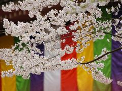 醍醐寺・勧修寺