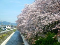 葉桜の季節に／無名の名所を歩く