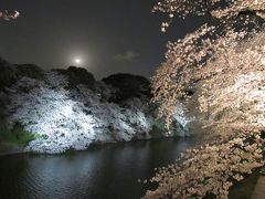 2012年4月　北の丸公園・千鳥が淵