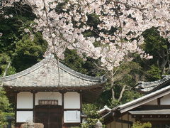 西尾市吉良町の春の名所めぐり