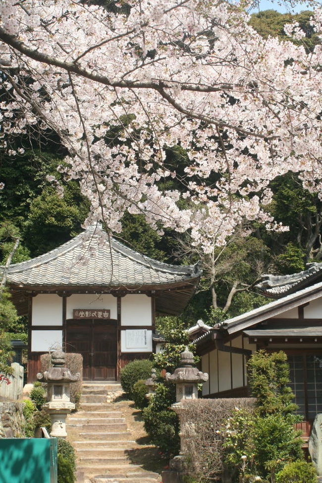 『西尾市吉良町の春の名所めぐり』吉良(愛知県)の旅行記・ブログ by こんぱすさん【フォートラベル】