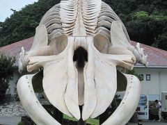 2010年8月　和歌山県(太地町)