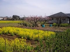 大雄山線の旅