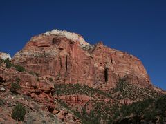 春のグランドサークル・ドライブ旅行⑥　ザイオン編