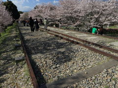 京都蹴上インクラインと平野神社の桜 2012