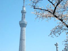 超満員御礼の隅田川！～満開の桜に聳える東京スカイツリーと下町の風景　後編～