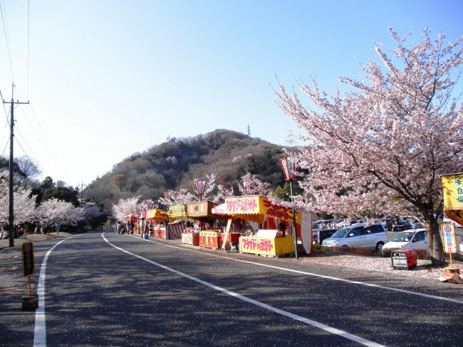 深山公園に桜を観に行きました。