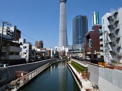 桜とスカイツリー