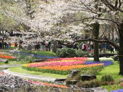 春色の溢れる昭和記念公園