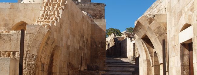 アレッポ 旅行 クチコミガイド フォートラベル シリア Aleppo