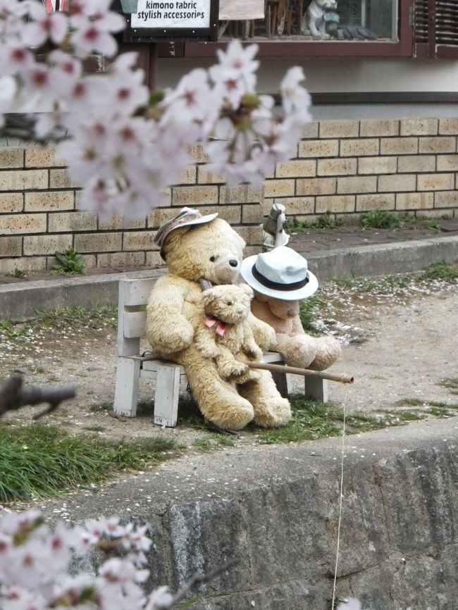 平安神宮をあとにしてお次は銀閣寺へ。<br /><br />車を岡崎公園に止めて歩いて行こうかと思ったのですが、わりと距離があったので、時間もないことだし車で近くの駐車場まで行ってみました。<br />でもすごい車の数で一旦駐車場前をスルー。もう一度戻ってきてようやく止められました。<br />『駐車場は根気よく待つ』。醍醐寺で学んだことがすぐに活かされました。それにしても京都の駐車場は高いなぁ…(Ｔ^Ｔ)