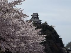 犬山城と城下町お花見散歩♪withワンコ