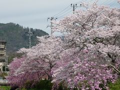 大原御幸のみちウォーク