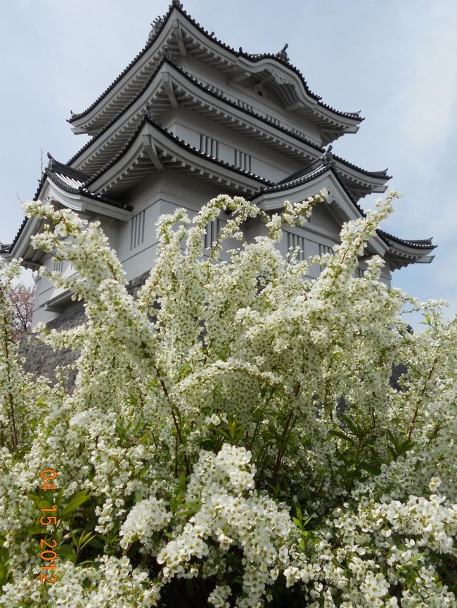 この週末、埼玉の実家に帰っていました。　特別用はなくても、月に1度は帰っているのですが、今月はちょうど桜の時期でもあったので、お出かけすることに!　土曜日は終日雨模様だったけど、日曜日は晴れて良かった〜♪<br /><br />埼玉県行田市って何気に歴史の古い街ですが、改めて観光してみるとなかなか興味深い街でした!　<br /><br />今年の秋、公開予定の映画｢のぼうの城｣の舞台になった街の様子を一足先にご覧下さい^^/