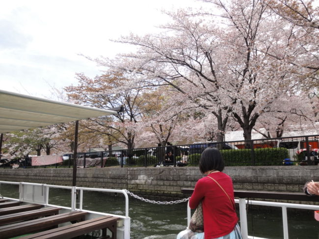 大阪天満橋での春のイベントです。<br />去年は震災で中止となったイベントが復活しました。<br />最終日に行ったら、桜はかなり散っていました。<br />それでも大川さくらクルーズを楽しんできました。<br /><br />でも、本当の目的は大阪城ホールでの浜崎あゆみコンサートだったのです。<br />桜とあゆを堪能し、帰りは鶴橋で焼肉を食べました。<br />充実した一日でした。