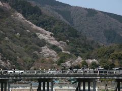 京都の桜　2012　嵐山と東山　祇園で車の暴走事故の痕を見る