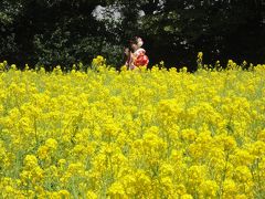 TOKYO　ｄｅ　ＯＨＡNAMI