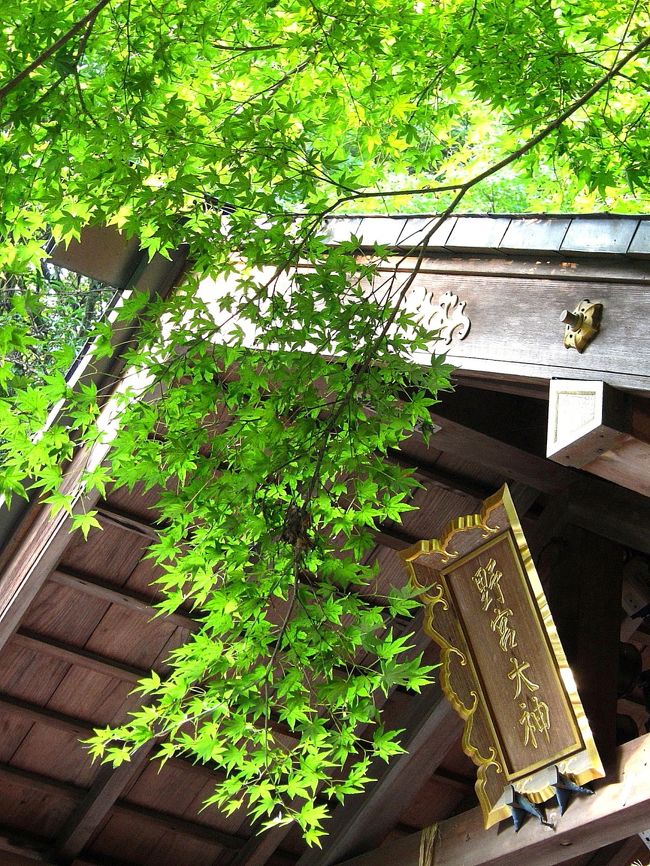 そもそも今回の京都旅は共立メンテナンスさんの新規オープンのお宿「花伝抄」さんへモニタープランで宿泊することが一番の目的！なのでもっと早い時間にチェックインしていたらお宿をゆったり楽しめたんですけどね、、、ま、貴船神社さんもすっごく良かったから仕方ないわね～(^^)花伝抄さんにはまた来ればいっか！！<br /><br />お夕食や朝食、貸切風呂など随所にこだわりの感じられるなかなか良いお宿です～♪それに嵐山の一等地に建っていますしね(^^)早朝の清々しい空気の中、お散歩しながらひと気のない渡月橋を見られるなんて本当に贅沢！！これだけだけでも花伝抄さんにお泊りする価値はあるかなぁ～と思います。<br /><br />グランドオープンを控えていたこの頃は、スタッフの皆さんがまだまだ慣れていらっしゃらないこともあって「あれれ～～」なこともありましたけど、もう大丈夫だよね(^^)！個人的な欲を言うならば、あともうほんの少しだけ深山桜庵さんや米屋さんや菊屋さんのような触れあいというか・・お宿との距離感を近く感じられるようなお宿になっていってくれると嬉しいんだけどなぁ(^^)。