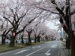 飯田市で桜めぐり
