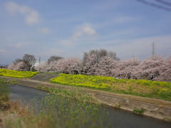 前橋市内レンタサイクル