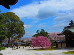 大覚寺～仁和寺