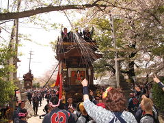 ２０１２年 常滑春祭り　第二日目、日曜日