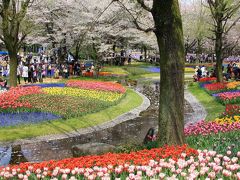 チューリップと桜の昭和記念公園ファン倶楽部ミニオフ会（2）咲いた咲いたチューリップの花が、並んだ並んだ大勢の人と