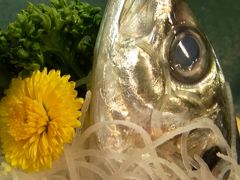 磯料理・旅館　やまに★新鮮な魚介料理を食べて東京湾を一望！
