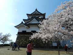 初めての滋賀県、国宝彦根城で観桜する。