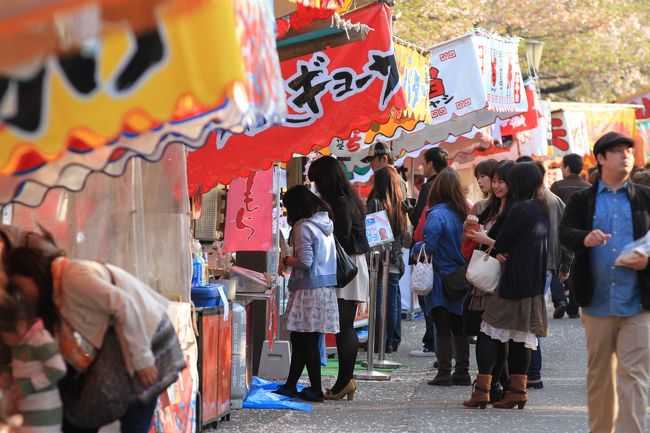 今年も造幣局の桜の通り抜けに行ってきました。<br />その帰り道、毎年恒例となっている屋台の見学をすることにしました。<br /><br />本編旅行記は↓<br /><br />2012/04/17　【大阪桜2012】 大阪の春の風物詩　桜の通り抜け始まる　「造幣局」<br />http://4travel.jp/traveler/minikuma/album/10661844/<br /><br /><br />◎ 造幣局桜の通り抜け<br /><br />日時　平成２４年４月１７日～４月２３日まで<br />時間　１０：００～２１：００（土日は９時から）<br />桜の種類　１２９種<br />桜の本数　３５４本<br /><br />今年の桜　”小手毬”<br />