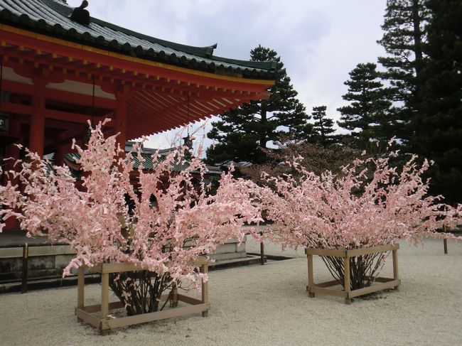 「御室桜を観にいきませんか？」とお誘いを受けたのはまだ寒い2月。<br />初めて耳にした御室桜について調べてみると、どうやら仁和寺に咲く遅咲きの桜らしい。<br />桜を観に京都へお出かけました♪<br /><br />1日目。<br />平安神宮〜琵琶湖疏水〜六角堂<br />