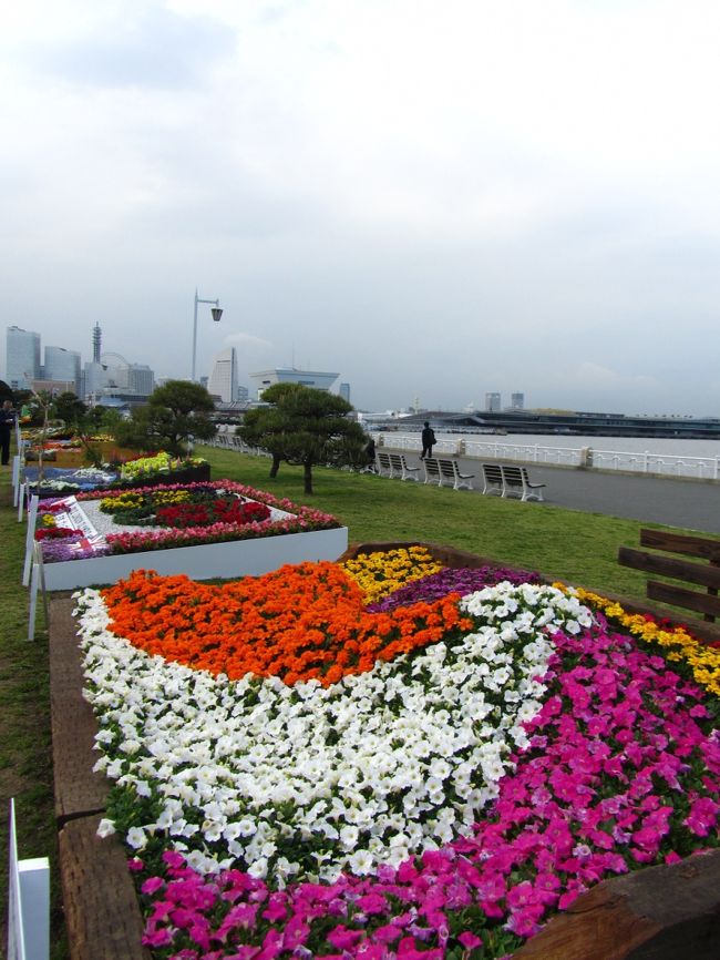 スプリングフェア２０１２　山下公園の花壇展は、今年５０回目だそうです。<br /><br />毎年、趣向を凝らした花壇がお目見え。<br /><br />題名とデザイン。<br />じっくり鑑賞していくと、けっこう楽しい！<br />なるほど〜！な〜んて。<br /><br />自宅にこういう花壇を作ったら楽しいだろうな。<br />どこかの家に、公園に、こういう花壇がって、<br />散歩の途中で見れたら楽しいだろうなって。<br /><br />そういうふうに、見ています。<br /><br /><br />今年は、どういうデザインでしょうか。