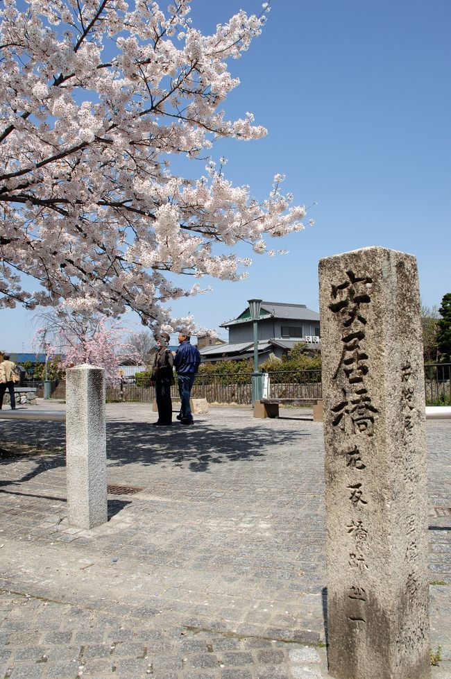 背割堤のダイナミックな桜を堪能した後、帰り掛けにスーパーへ買い物へ。<br /><br />その間に、スーパーから直ぐの放生川に掛かる安居橋がある「さざなみ公園」へ出掛けて、色んな桜を見てきました。